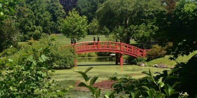 05 9 Duke farms WB4 R9 Y