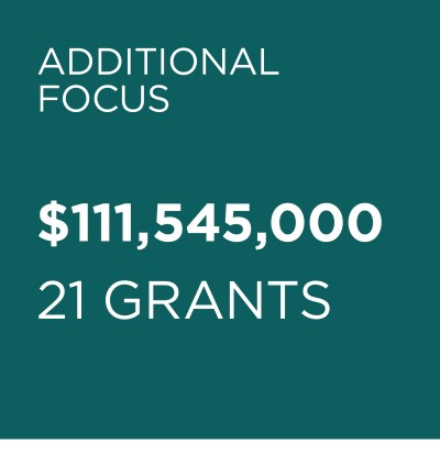 AF New Grants 2025
