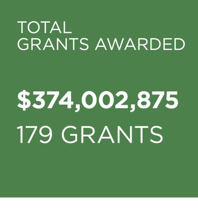 TOTAL New Grants 2025