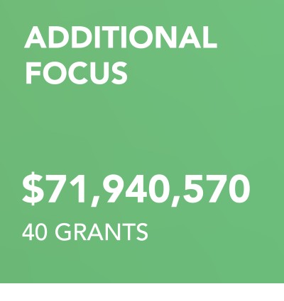 00 Grantmaking AF Paid 2024