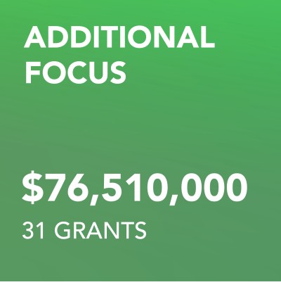 00 Grantmaking AF New commitments
