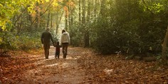 Healthy people healthy. Carolinas, parents walking in woods