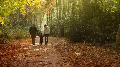 Healthy people healthy. Carolinas, parents walking in woods