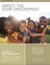 The Duke Endowment Overview Flyer