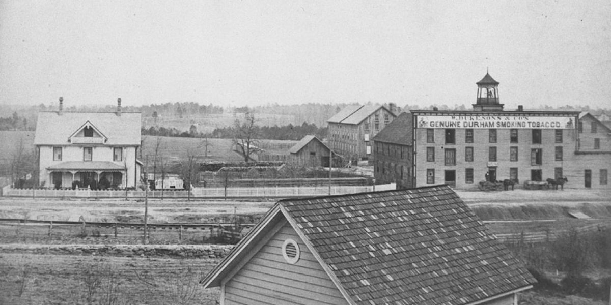 1883 Tabacco Durham plant 1870 2 1