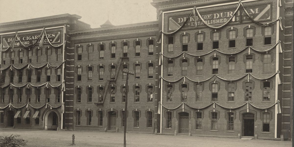 1911 Tabacco Durham plant 2 1