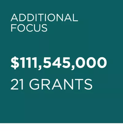 AF New Grants 2025