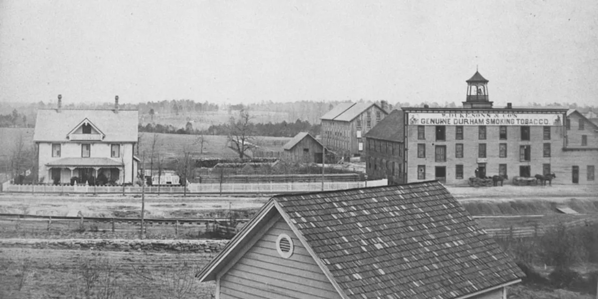 1883 Tabacco Durham plant 1870 2 1