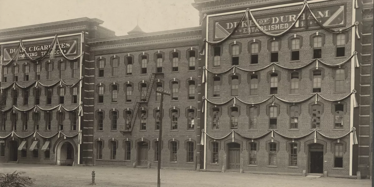 1911 Tabacco Durham plant 2 1